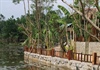 Khu nghỉ dưỡng mọc “chui” giữa rừng phòng hộ ở Quảng Nam: “Ưu ái” cho Bí thư Đoàn xã?