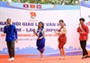 Ngày hội giao lưu văn hóa Việt Nam - Lào - Campuchia