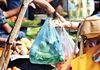 Bang Uttar Pradesh của Ấn Độ cấm hoàn toàn túi nhựa polythene