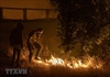 Mỹ: 100.000 người phải sơ tán vì cháy rừng lan rộng ở bang California