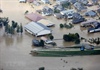 Nhật Bản: Mưa lớn cản trở công tác khắc phục hậu quả bão Hagibis