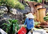 Khánh Hòa:  Đảm bảo vệ sinh môi trường tại khu vui chơi giải trí, điểm du lịch để đón khách trở lại