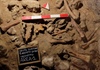 Di tích hóa thạch ở Italia gây chấn động về tổ tiên loài người