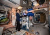 NASA hợp tác với tư nhân bán vé du lịch vũ trụ đầu tiên lên ISS
