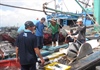 Đà Nẵng:  Đảm bảo cung ứng nguồn hải sản cho người dân sau khi tạm dừng hoạt động cảng cá Thọ Quang