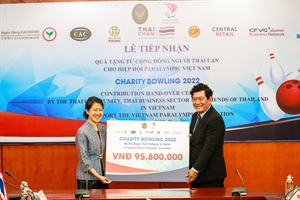 Hỗ trợ các hoạt động của thể thao người khuyết tật Việt Nam