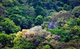 Đà Nẵng trồng cây xanh tạo điểm nhấn cho bán đảo Sơn Trà