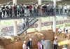 Cho phép khai quật khảo cổ tại di tích Gia Viễn (Lâm Đồng)